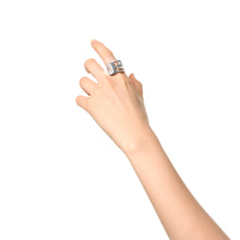 画像をギャラリービューアに読み込む, RING 1030