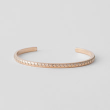 画像をギャラリービューアに読み込む, BANGLE 621-4