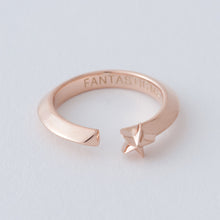 画像をギャラリービューアに読み込む, RING 735