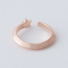 画像をギャラリービューアに読み込む, RING 735