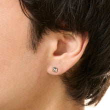 画像をギャラリービューアに読み込む, PIERCE 565
