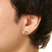 画像をギャラリービューアに読み込む, PIERCE 570
