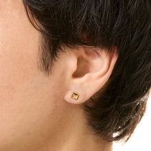 画像をギャラリービューアに読み込む, PIERCE 571
