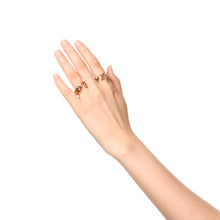 画像をギャラリービューアに読み込む, RING 733
