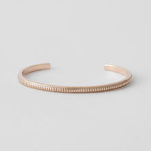 画像をギャラリービューアに読み込む, BANGLE 621-2
