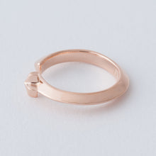 画像をギャラリービューアに読み込む, RING 735
